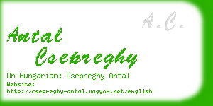 antal csepreghy business card